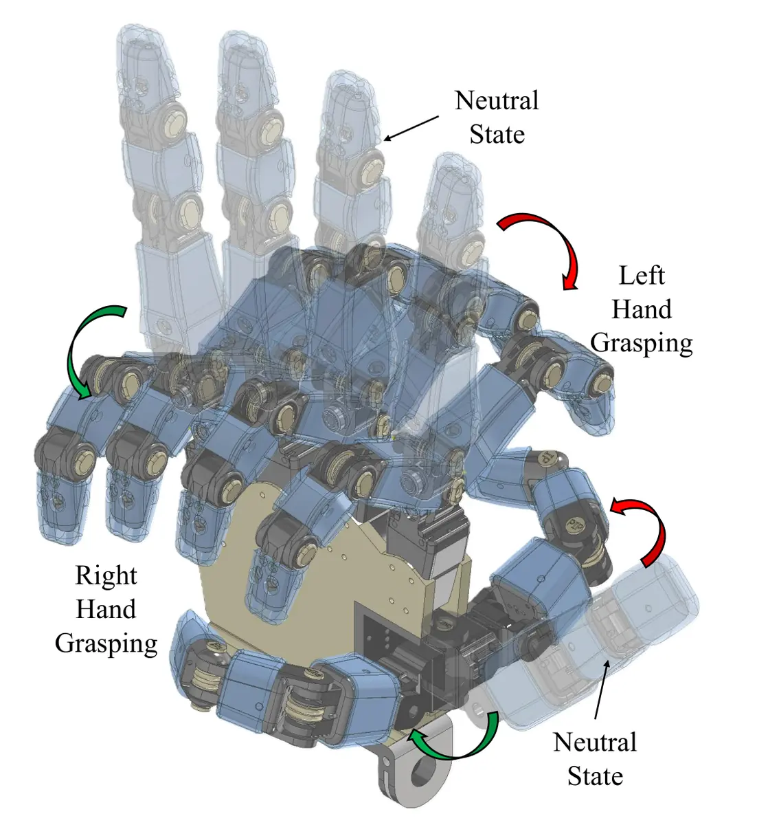Design and Validation of an Antagonistic Tendon-Driven Dexterous Robotic Hand with Bidirectional Operation