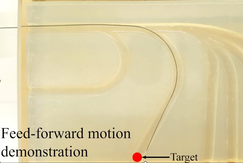 Design, Modeling, and Control of a Coaxially Aligned Steerable (COAST) Guidewire Robot