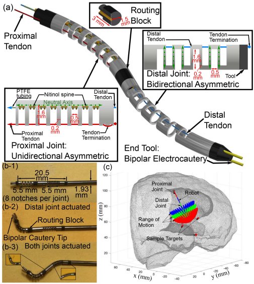 Modeling and Control of a 2-DoF Meso-scale Continuum Robotic Tool for Pediatric Neurosurgery