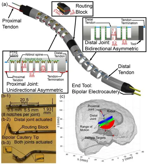 Modeling and Control of a 2-DoF Meso-scale Continuum Robotic Tool for Pediatric Neurosurgery
