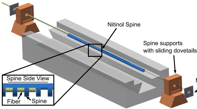 Figure — Towards FBG-Based Shape Sensing for Micro-scale and Meso-Scale Continuum Robots with Large Deflection